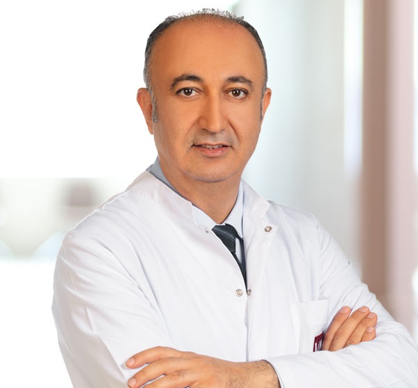 Prof. Dr. Mehmet Tokmak